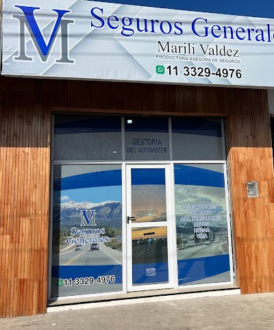 Seguros generales MV