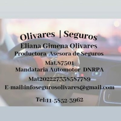 Seguros Olivares