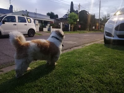 Inglés En Parque Quirno