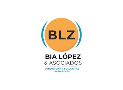 CONSULTORA BLZ