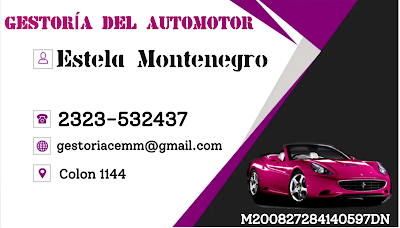 Gestoría del Automotor & Inmobiliaria Estela M. Montenegro