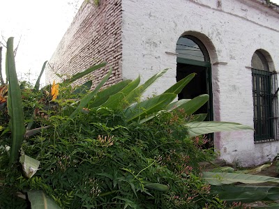 Museo Casa Ameghino