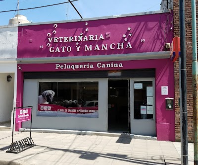 Veterinaria Gato y Mancha