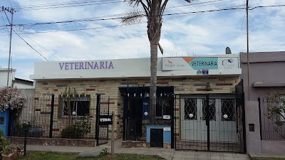 VETERINARY CLINIC SANTA ELENA