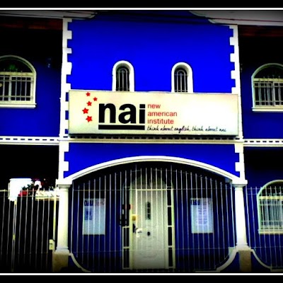 New American Institute - Nai