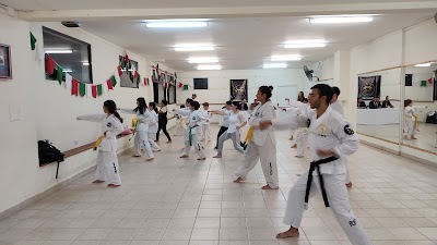 Taekwondo Ronin (Union Vasca)