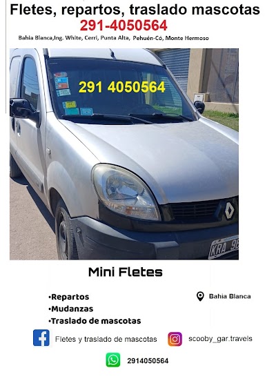 MiniFlete "Fletes y traslado de mascotas" fletes y mudanzas Taxiflet Bahia Blanca comisionista