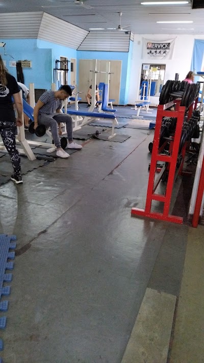 Bushido Gimnasio