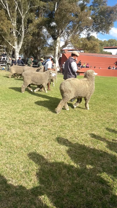 Los Amigos Eventos Parrilla Galpon Soc. Rural