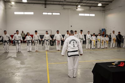 Instituto Central De Taekwon-Do