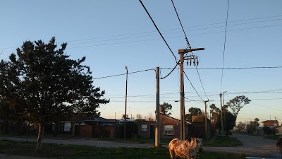 Almacén Los Dos Hermanos