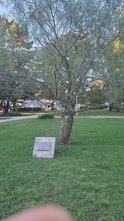 Arbol de la Amistad