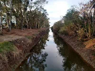 Arroyo Salgado