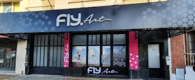 Flyart Estudio de Danzas