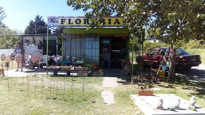 Floreria LOS AROMOS