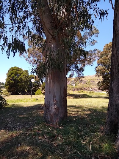 Bicentenario Park