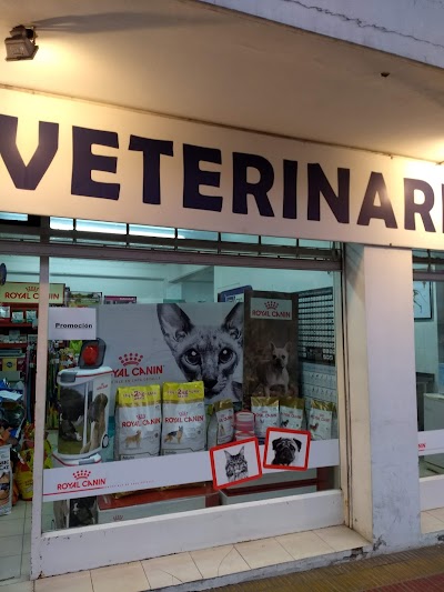 Veterinary My Pets