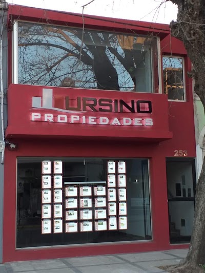 Ursino Propiedades