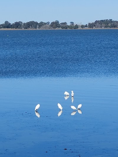 Laguna de chascomús