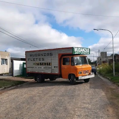 Mudanzas El Viejo Verde