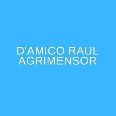 D'AMICO RAUL AGRIMENSOR