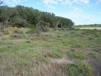 Laguna Chasilauquen