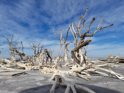 Ruinas de Epecuén