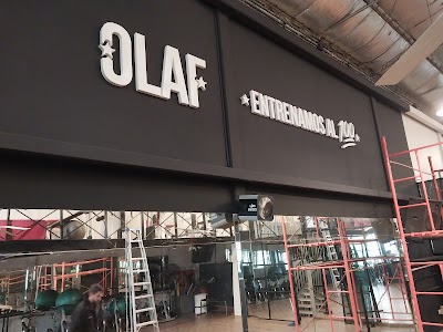 Gimnasio Olaf