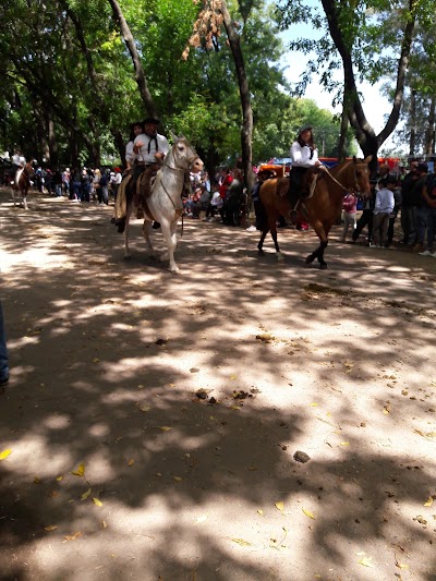 Centenario Park