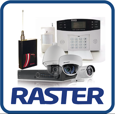 Raster Seguridad Privada