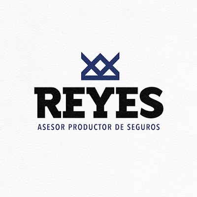 Reyes Fernando. Productor Asesor de Seguros