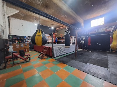 ALBERTI BOXING CLUB