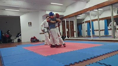 ESCUELA DE TAEKWONDO