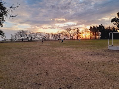 Polideportivo