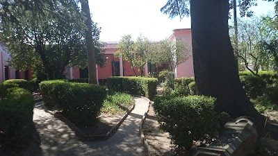 Instituto Vaccarezza