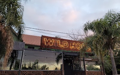 Wild Hops City Bell