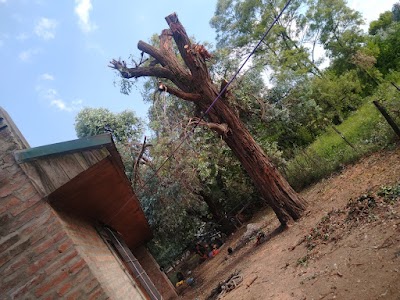 Almacén y carnicería Lourdes