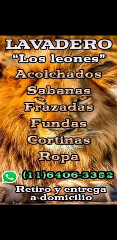 Lavadero los leones