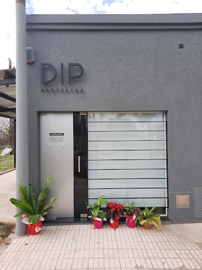 DIP proyectos