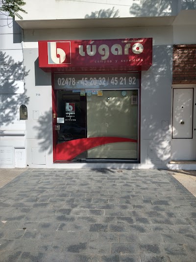 ORGANIZACION LUGARO - CAMPOS Y SERVICIOS