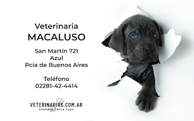 Veterinaria Macaluso