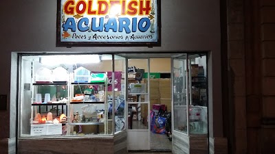 Acuario Goldfish