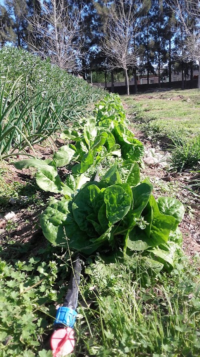 Vivero Municipal de Baradero Ing. Agr. Luciano Marcelo Stabile