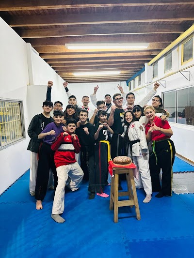 TKD Arte Marcial Mar del Plata