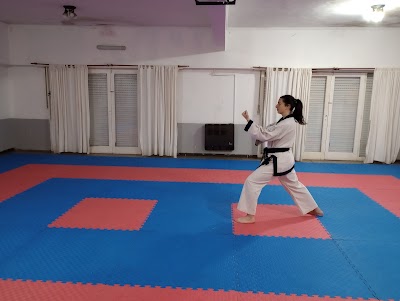 Soo Bahk Do - Tang Soo Do - Karate Coreano