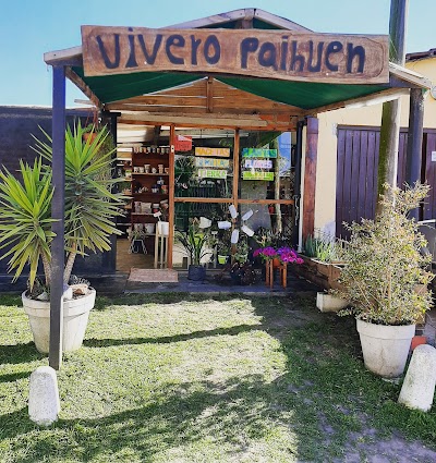 Vivero Paihuen