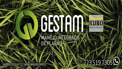 Fumigaciones y Desinfecciones Gestam