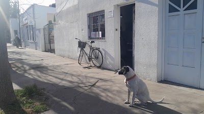 la momia negra peluquería