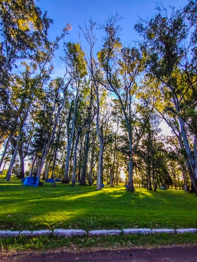 PARQUE TAGLIORETTI