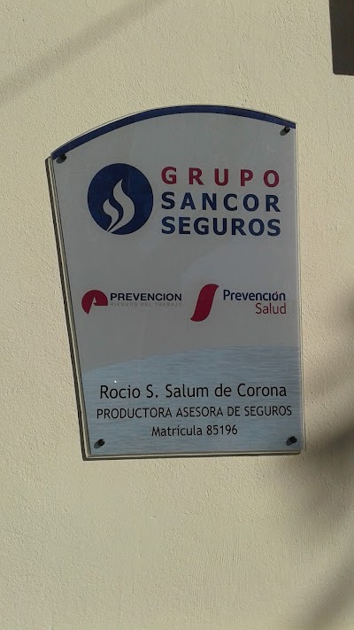 Grupo Sancor Seguros De Rocio Salum